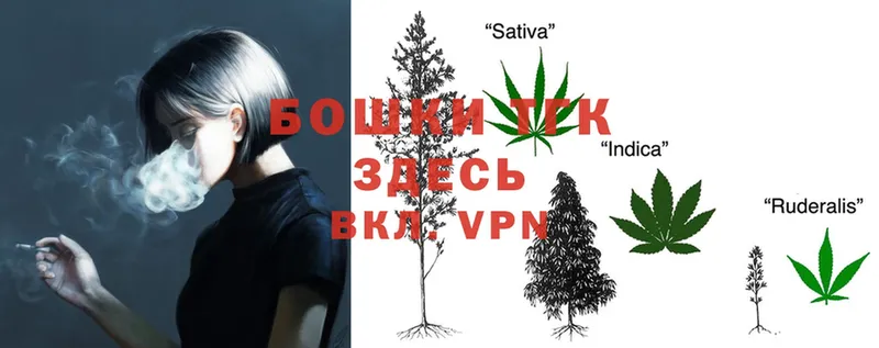 Бошки Шишки OG Kush  хочу   Вытегра 